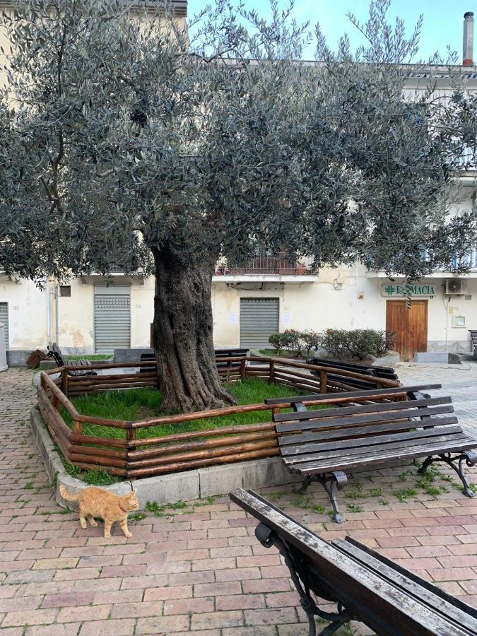 B&B Il Vicoletto Olevano sul Tusciano Exterior photo